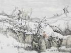 晴雪