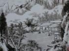 雪溪读书