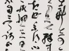 书法家陈花容草书作品《书论条幅》