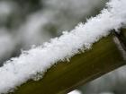 瑞雪