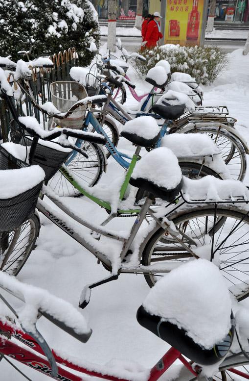 瑞雪