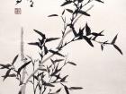 书画家郭朝卿花鸟作品《竹子》