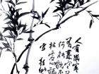 书画家郭朝卿花鸟作品《竹子》