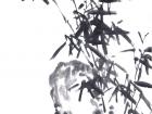 书画家郭朝卿花鸟作品《芳姿凌霄》