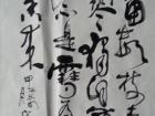 梅花诗