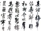 樊宏武作品
