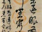 王向阳作品