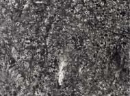 《山籁》 200x450cm 2013年