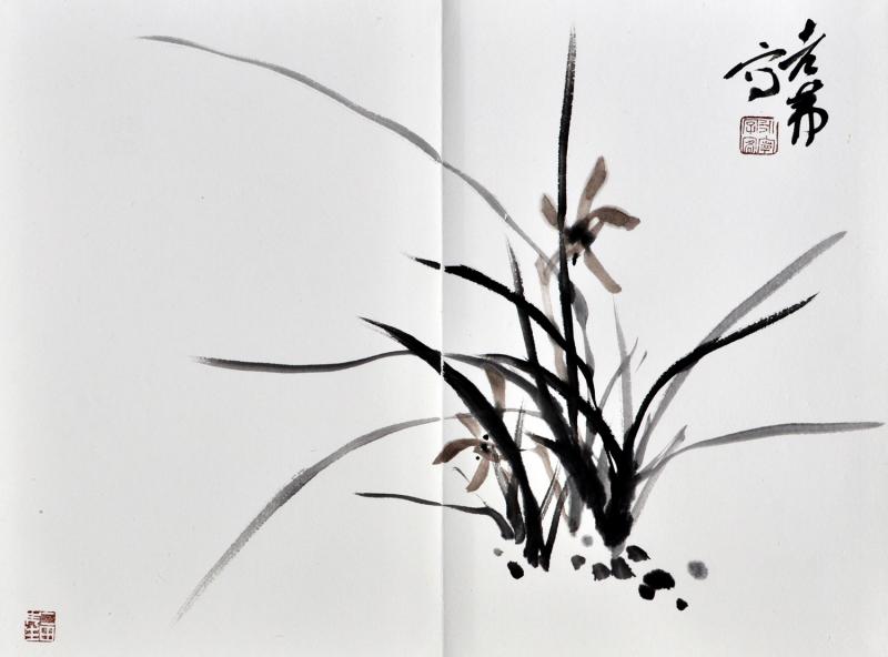 书画家郭朝卿花鸟作品《幽兰》