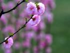 展望