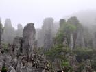 华蓥山石林
