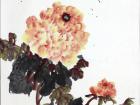 国画家王玉凤牡丹作品