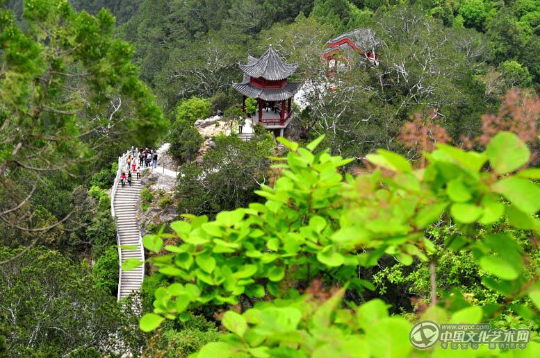 前景嫩绿