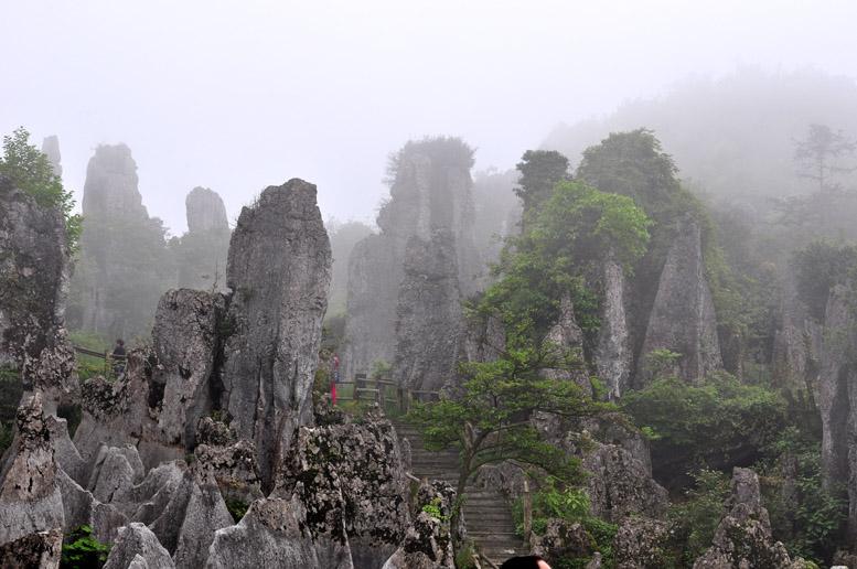 华蓥山石林