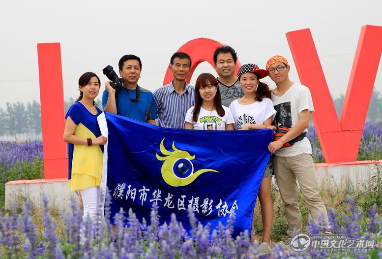 在山东东明拍摄薰衣草