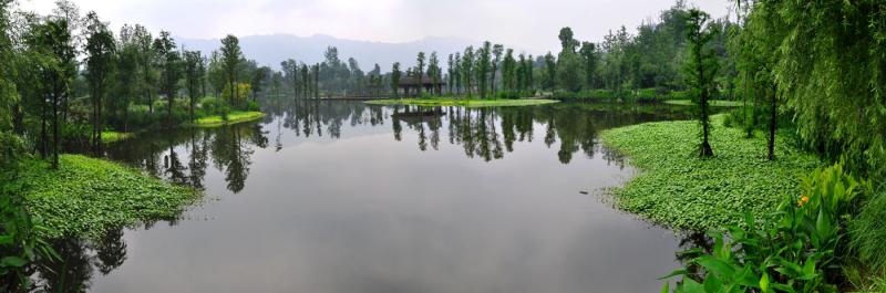 湿地一瞥