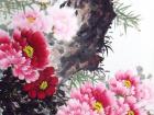 画家郝淑琳花鸟作品《鸟语花香》