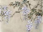 国画家常丽霞工笔花鸟作品