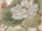国画家常丽霞工笔花鸟作品
