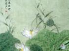 画家常丽霞花鸟作品《莲子不可得》