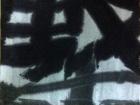 作品   坚