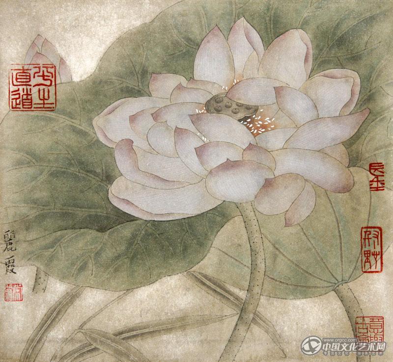 国画家常丽霞工笔花鸟作品