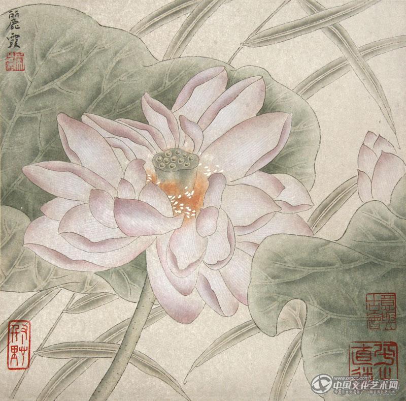 国画家常丽霞工笔花鸟作品