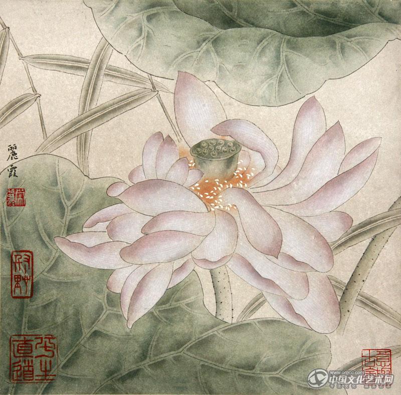 国画家常丽霞工笔花鸟作品