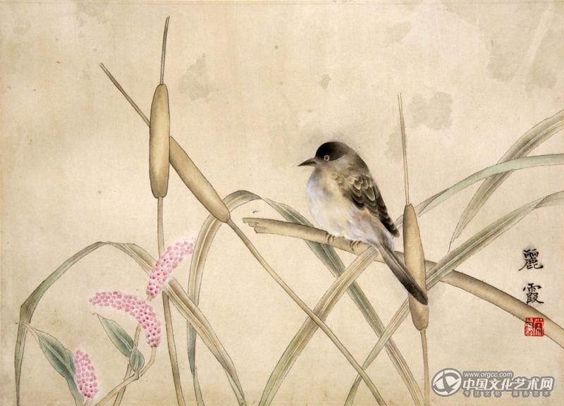国画家常丽霞工笔花鸟作品