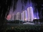 荷塘夜话