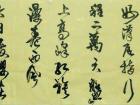 书法 毛泽东词