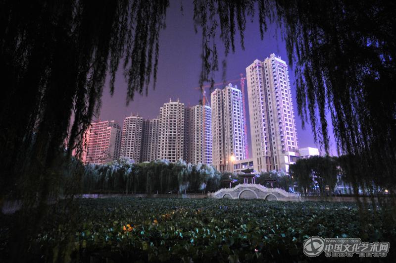 荷塘夜话