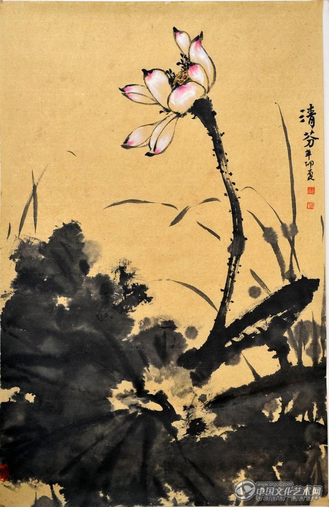 荷花娇欲语