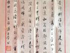 陈文芳硬笔书法