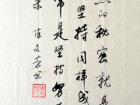 陈文芳硬笔书法