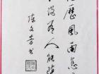 陈文芳硬笔书法