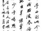 傅泽宇作品