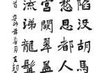 王朝军作品