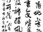 王怀阳作品