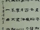 杨少华作品