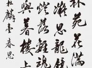 064号 作者：秦智琛 书法 尺寸：136X60