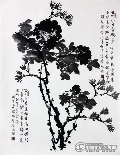墨牡丹