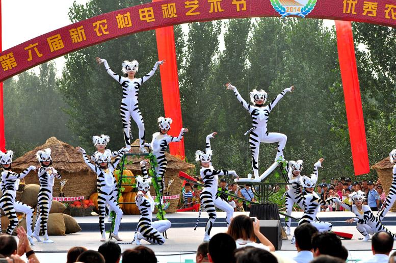 央视新农村电视颁奖