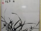 兰花一