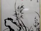 兰花二
