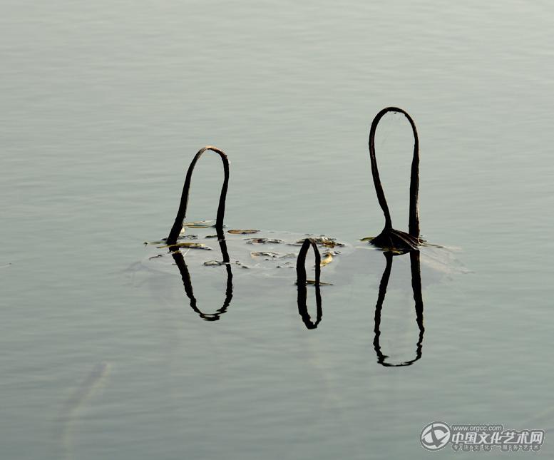 残荷