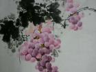 画家郝淑琳花鸟作品