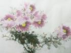 画家郝淑琳花鸟作品