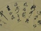 陈文芳书法