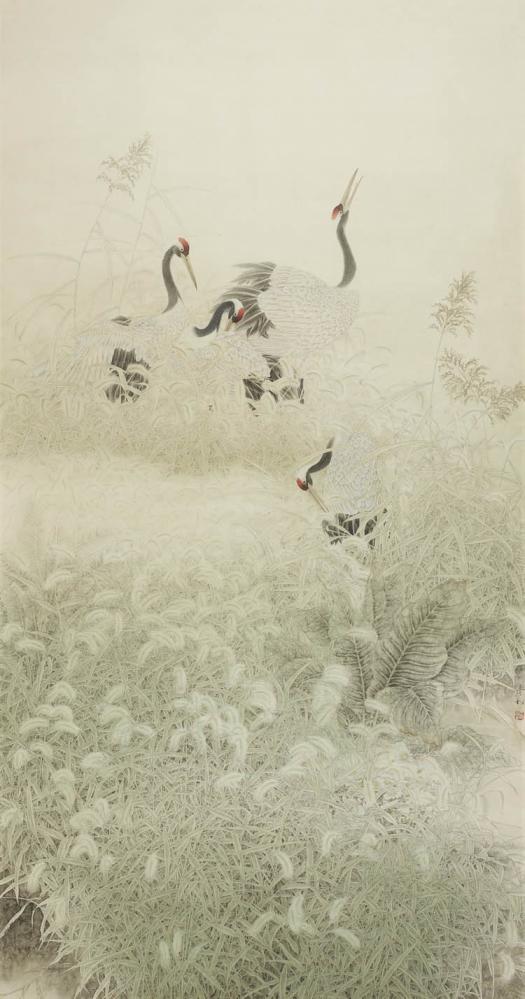 莽原丽影 